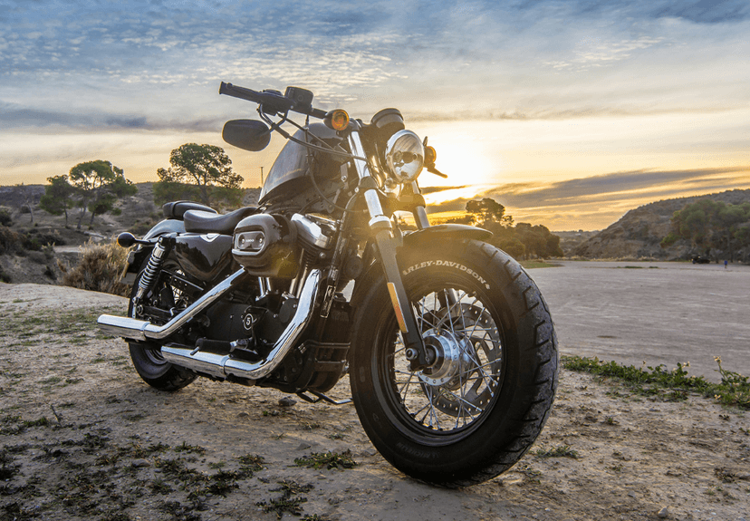 Harley Davidson
